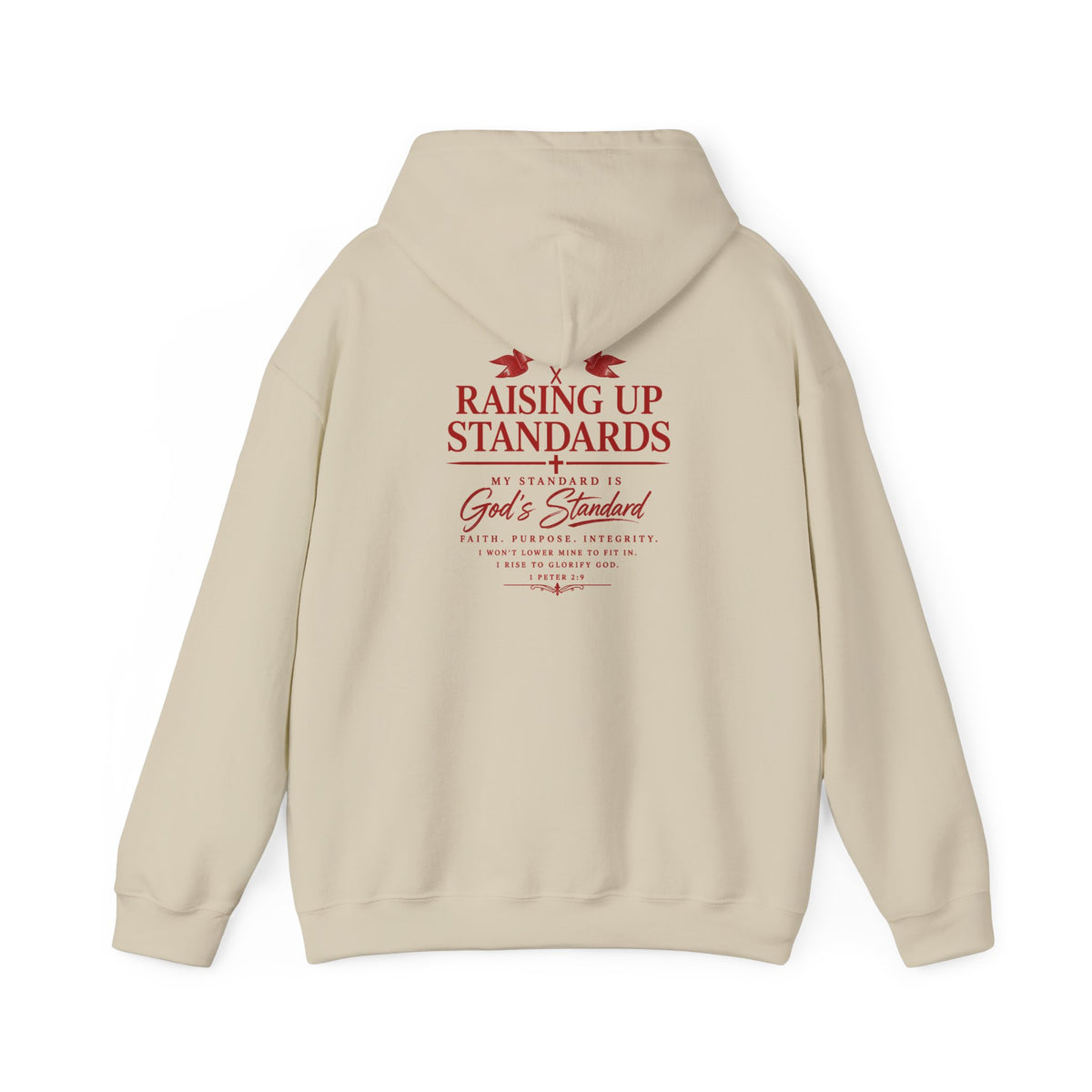 Raising Up Standards Hoodie — Faith-Based "Raising Up Standards" Pullover